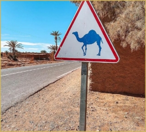 Marruecos Viajes 4x4