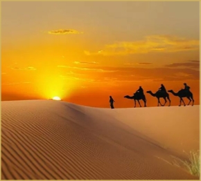 1 Night camel trek Merzouga