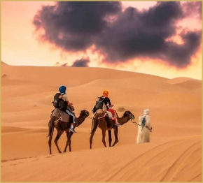 Desert Activities