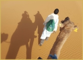 Tour from Tangier
